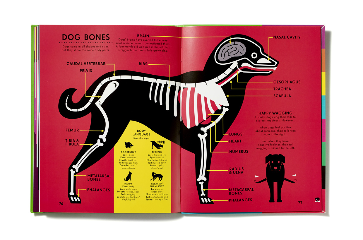nicholas_blechman_animal_kingdom_8.jpg