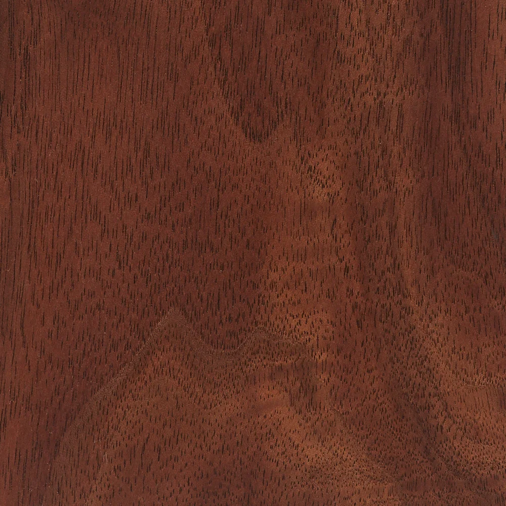 Chestnut