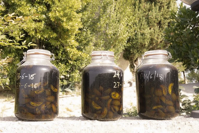 Jars of homemade nocino, or walnut liqueur, in progress.