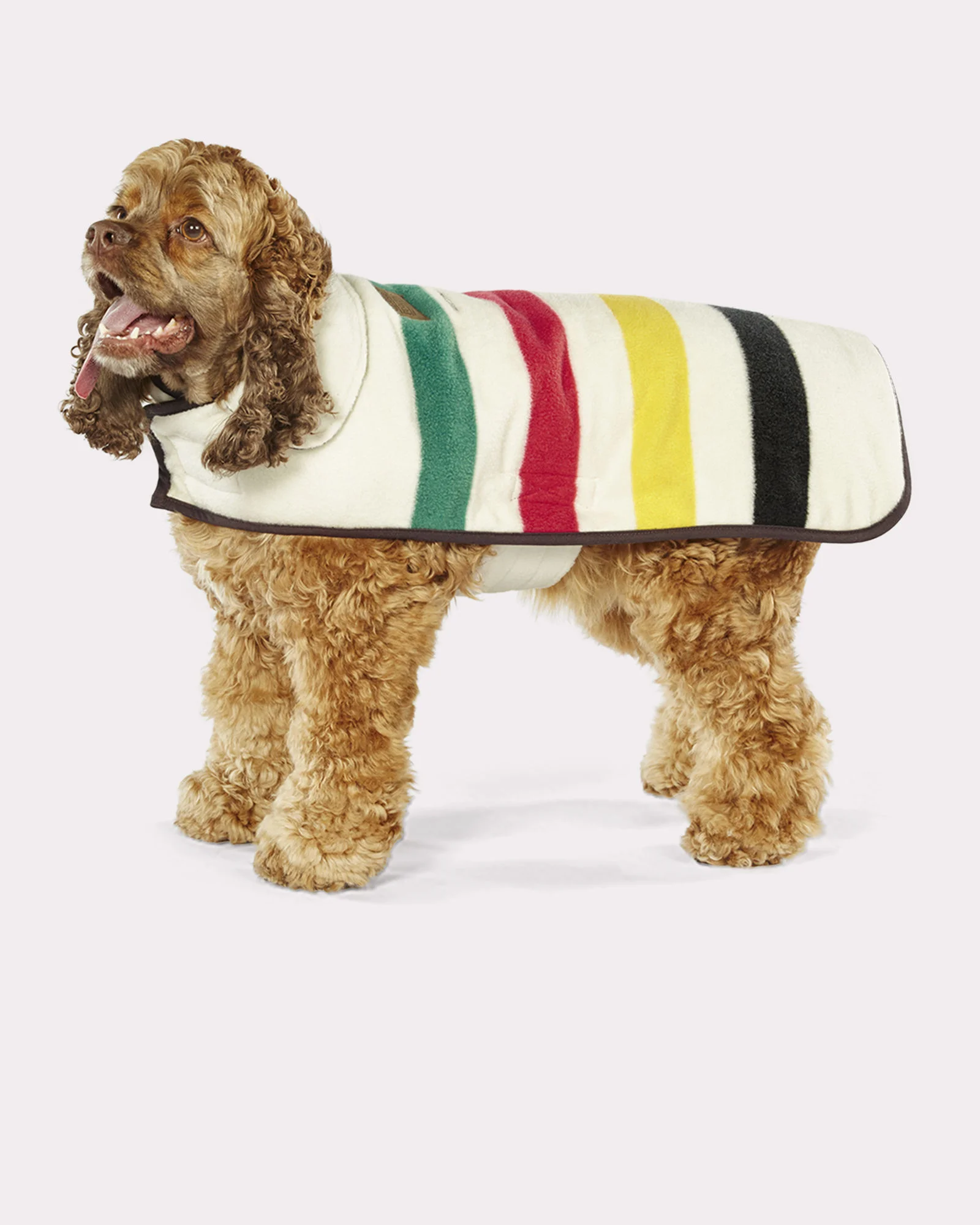PENDELTONDOG.jpg