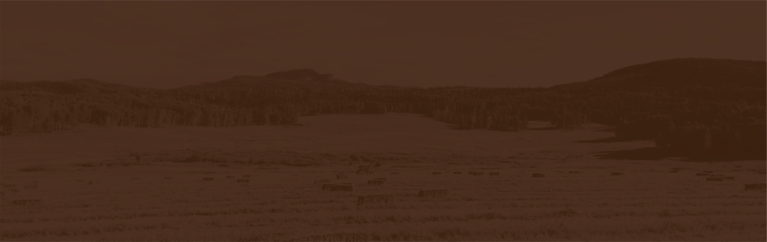 GHC_Website_171019-15.png