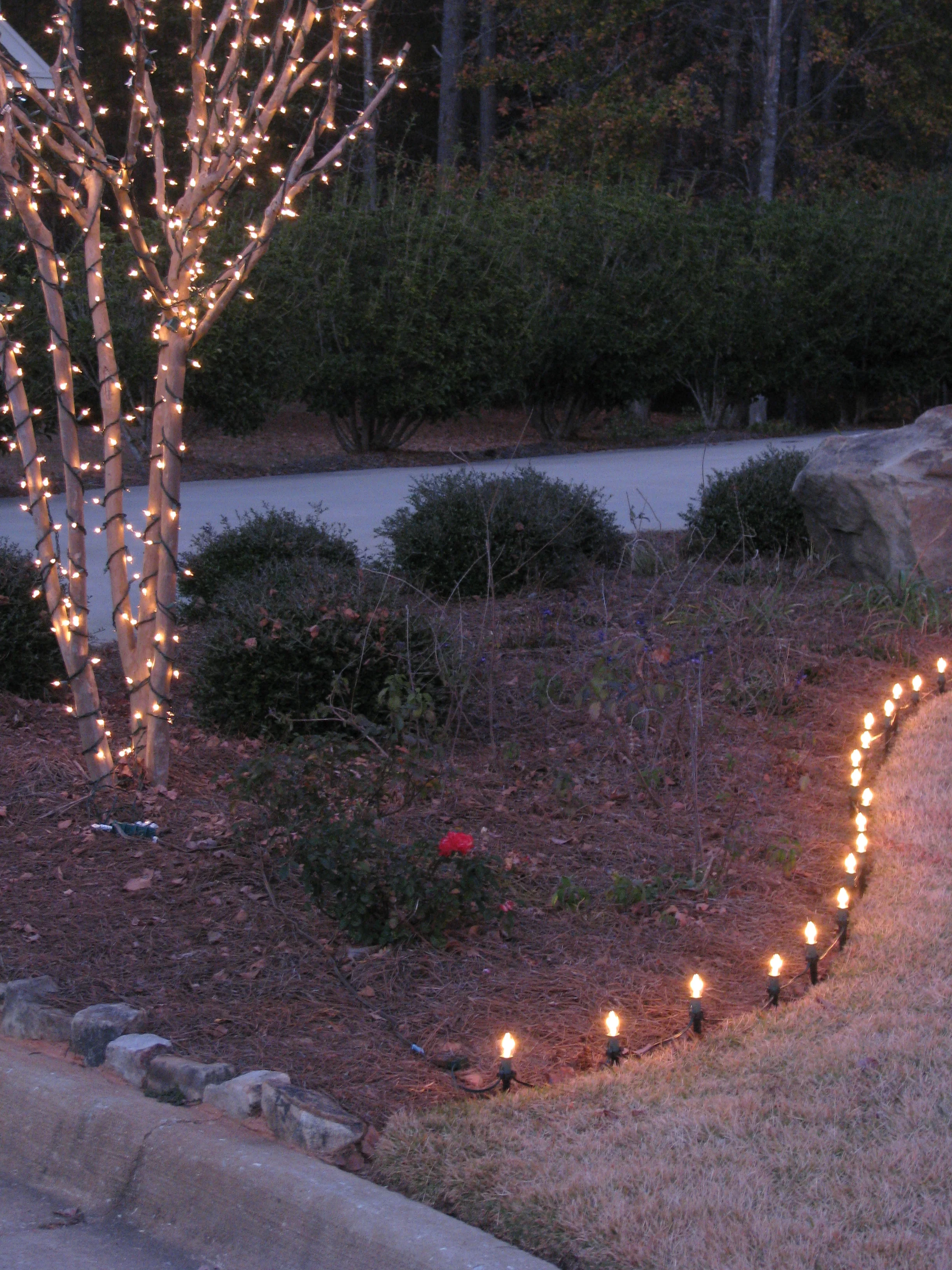 glitter and glow chrismas decor residential exterior (9).jpg