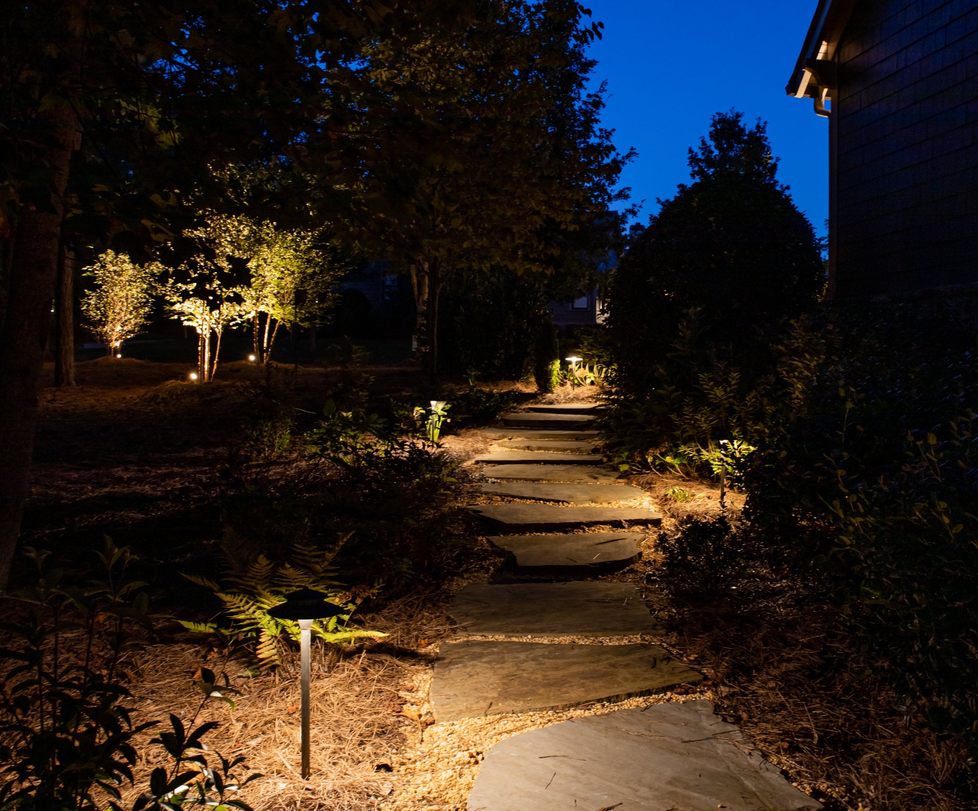 Path Lighting - landscape lighting