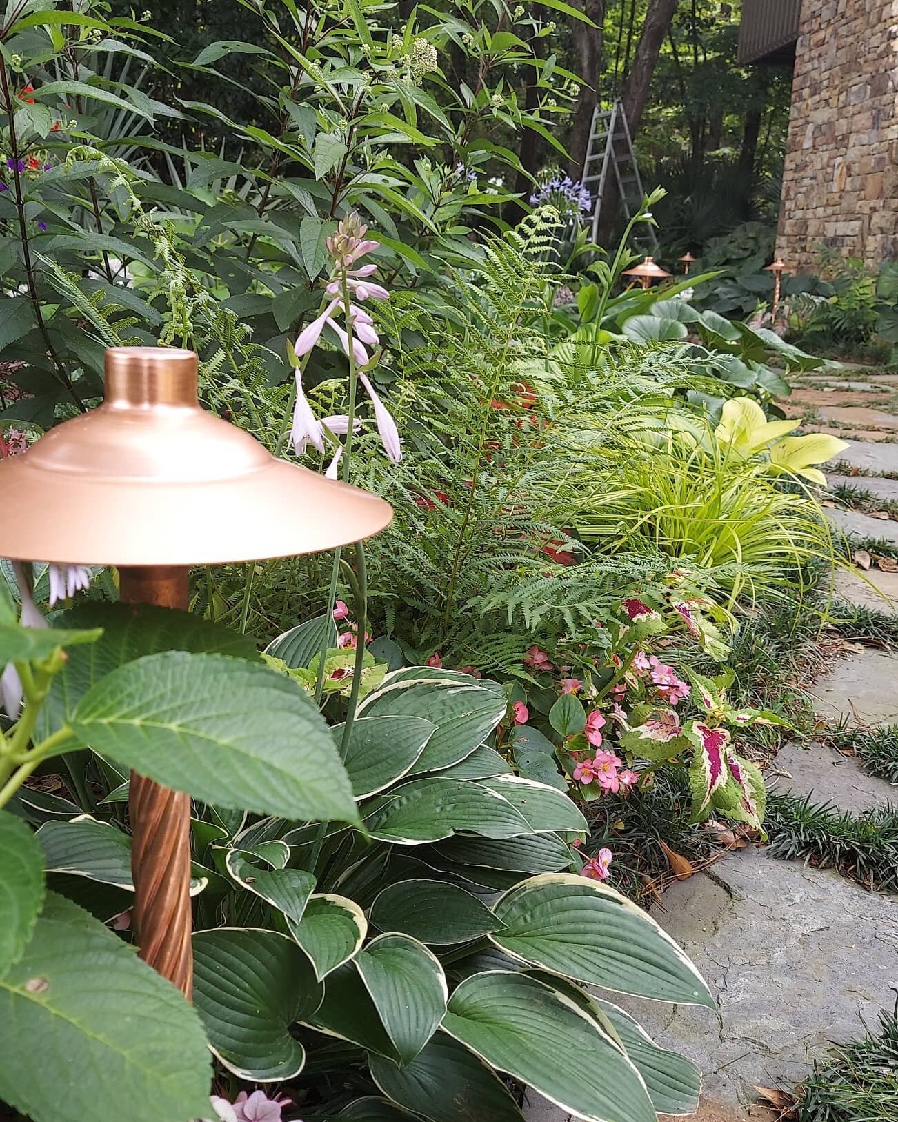 Copper path lights with beautiful twisted stems at every turn! This client has some amazing landscaping and it was a pleasure to match and compliment that beauty and elegance with great lighting fixtures. Swipe through to see a photo we received toni