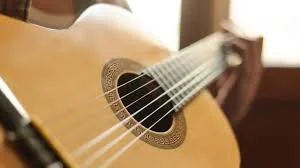 Shopping For a Guitar