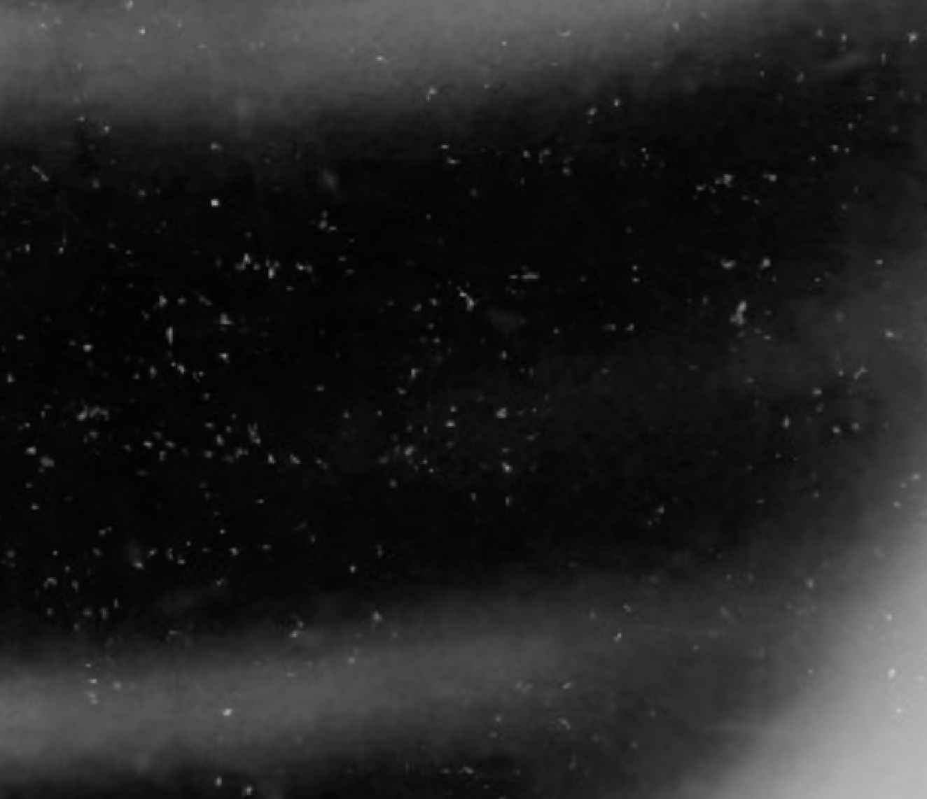 Screenshot 2026-03-26 at 9.37.23 AM.png