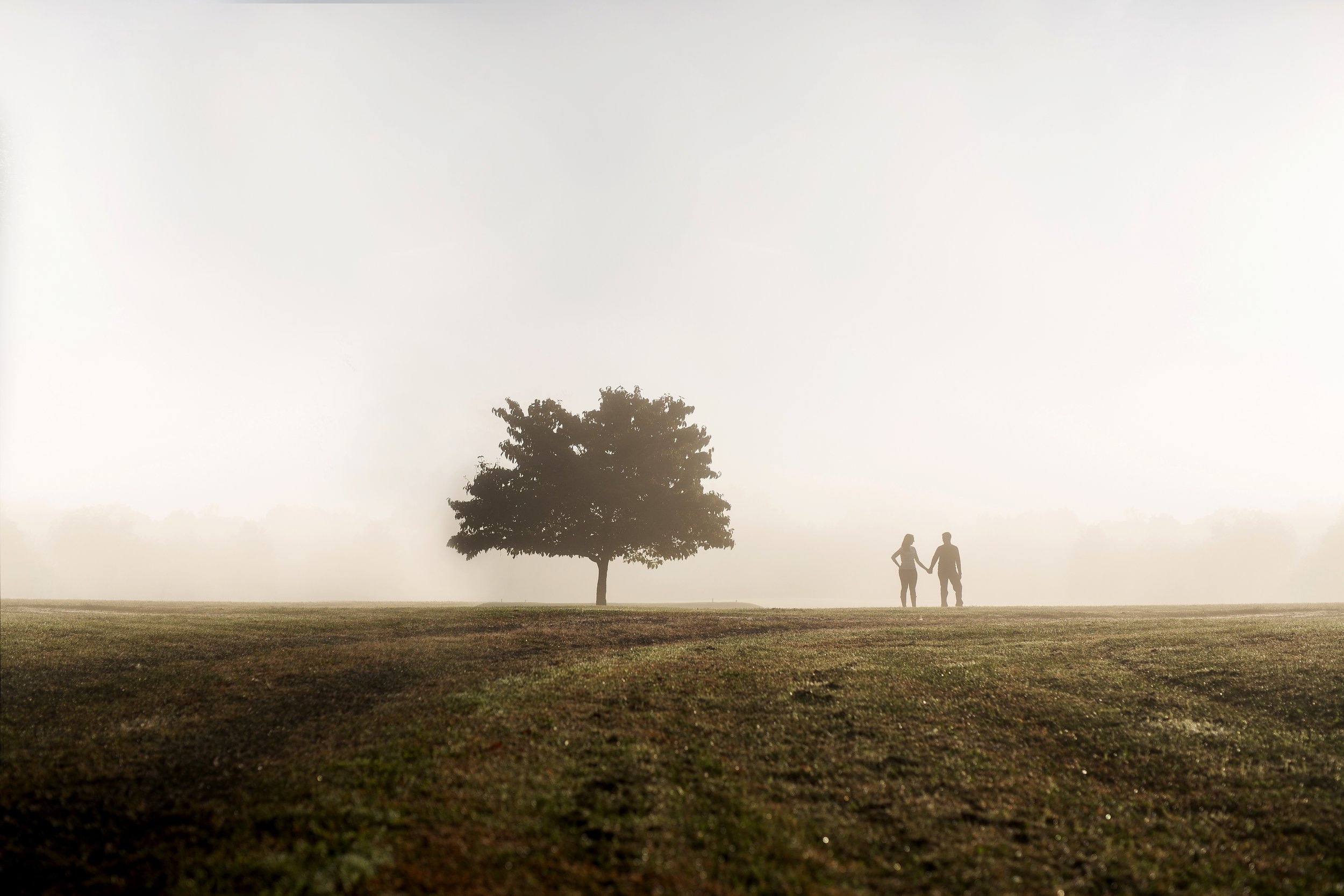 tree and couple silhouette 