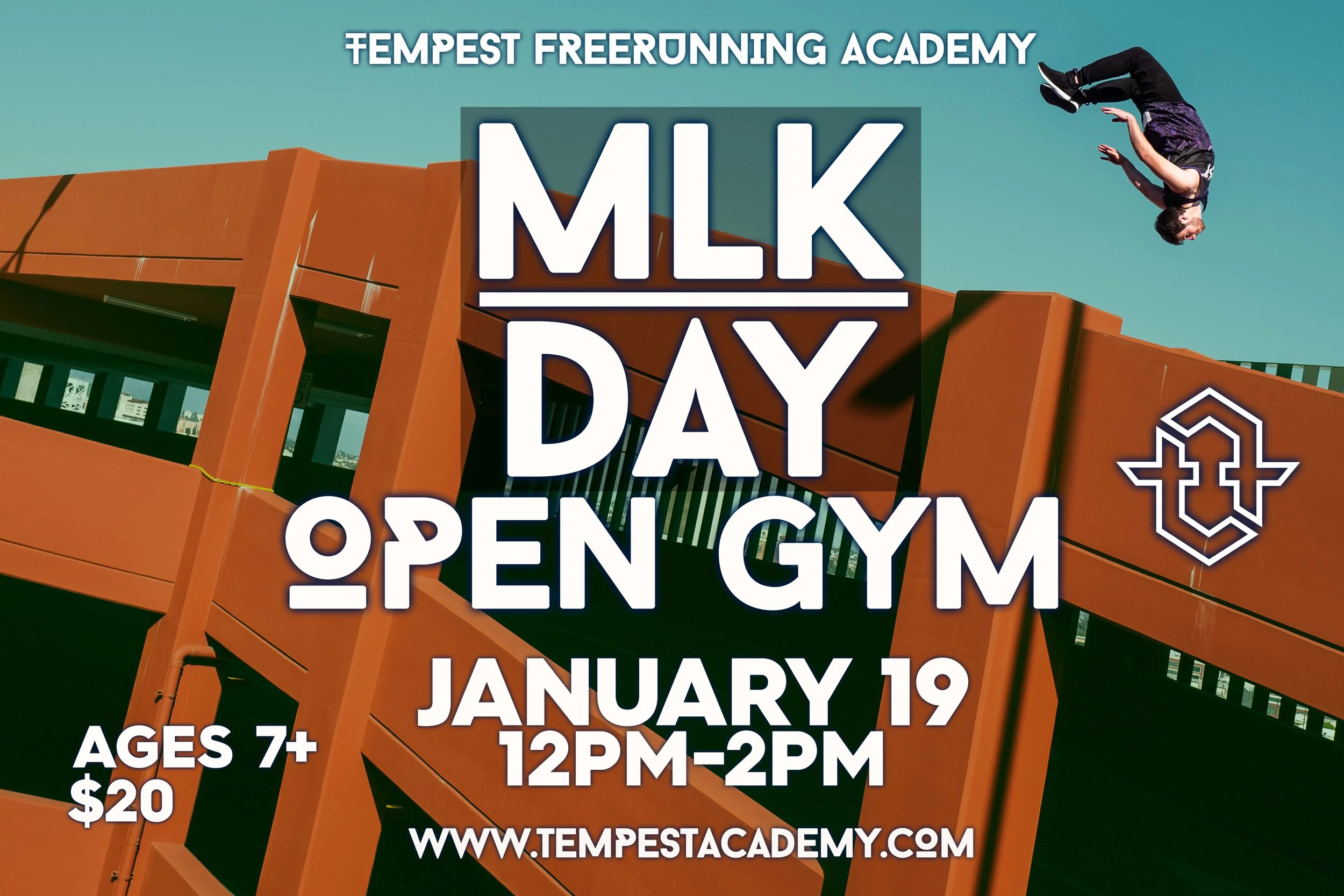 MLK DAY OPEN GYM