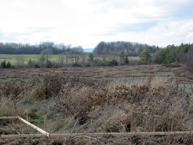 farmland.jpg