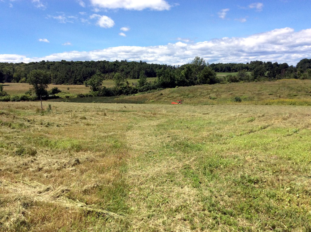 farmfield.jpg