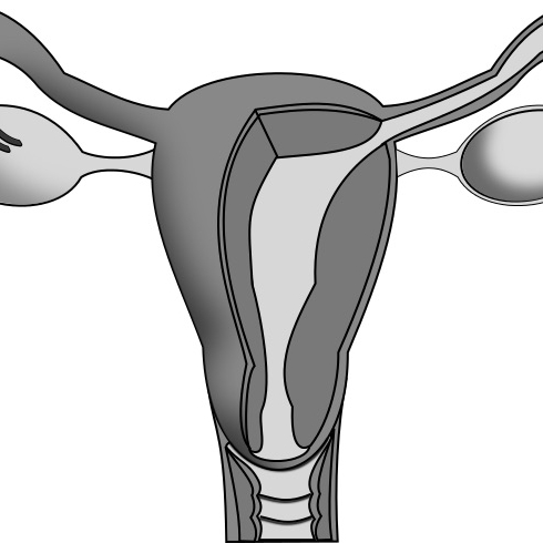 MAINSTREAMING MENSTRUATION November 2, 2017 / NPR