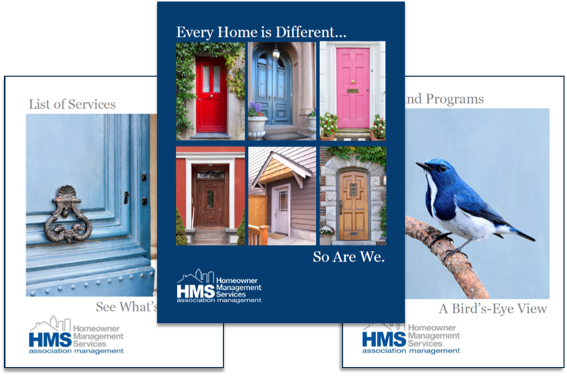 New Brochure Group.png