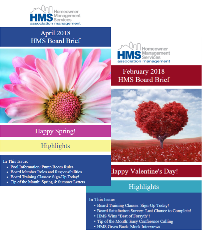 Board Brief Covers 2 issues.png