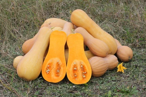 Maple-Glazed Butternut Squash with Tofu