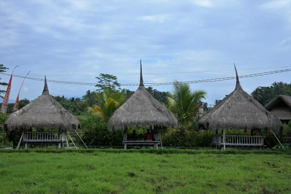 Left My Heart in Bali