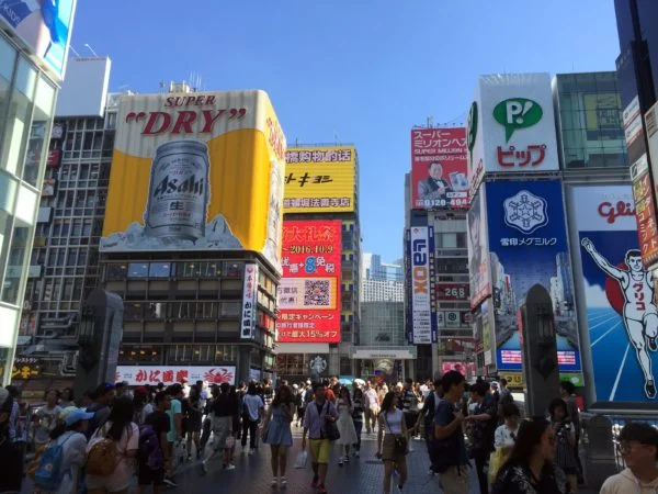 Temples and Castles in Osaka and Kyoto Japan
