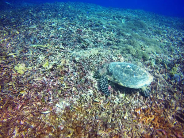 GOPR0029_01.jpg