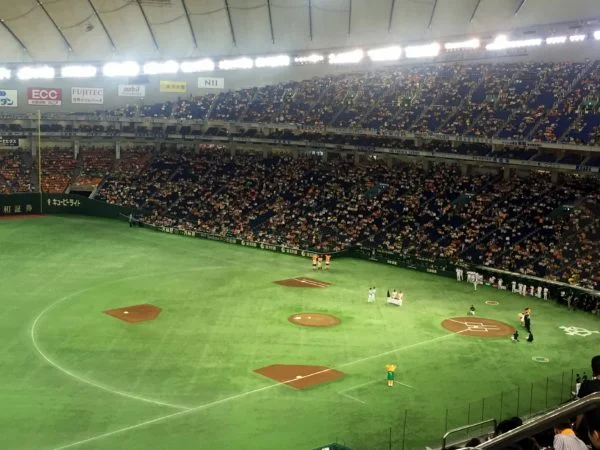 Japanese Baseball