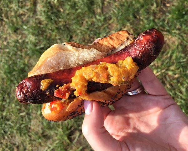The Duck Inn - Duck Dog
