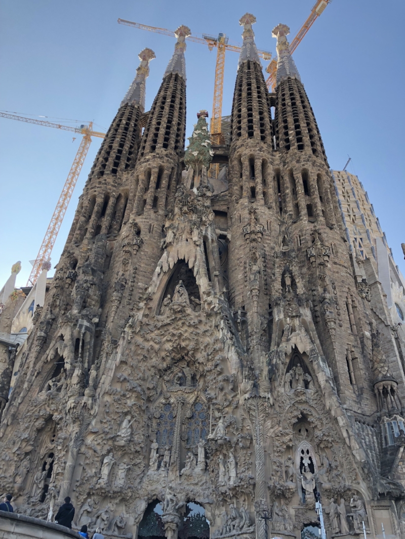 5 Day Itinerary for Barcelona — Dash of Adventure