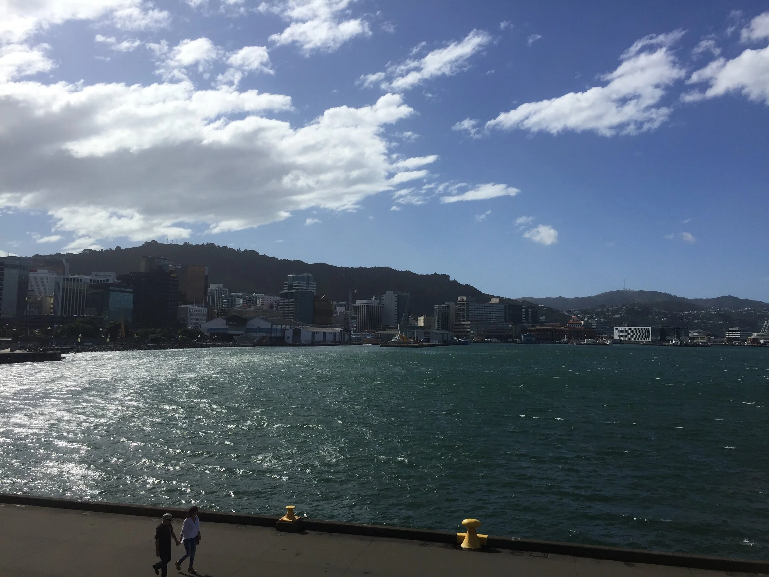 Tarungi, Napier and Wellington