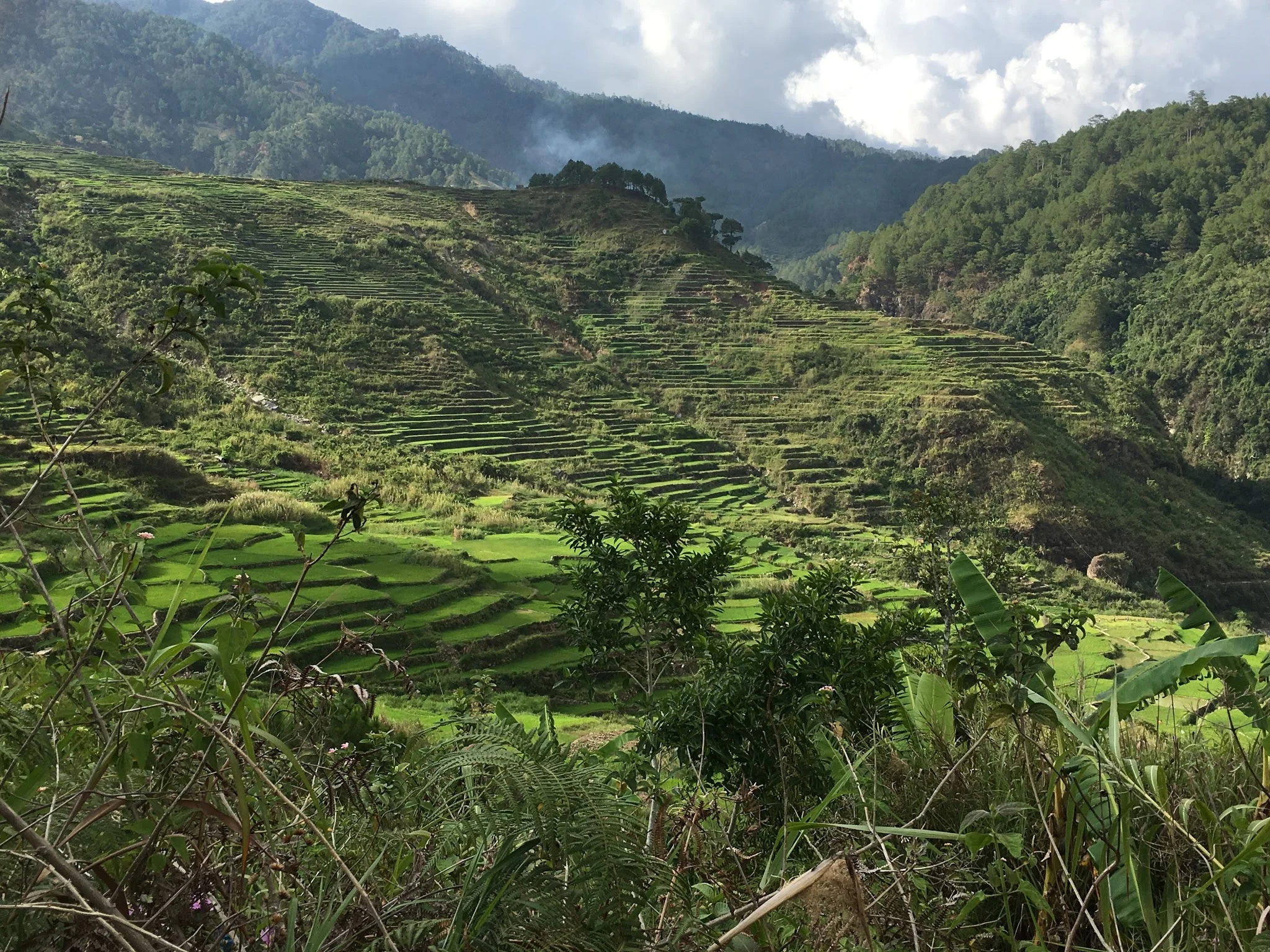 Rice terraces on the hike going to Bomod-Ok Falls