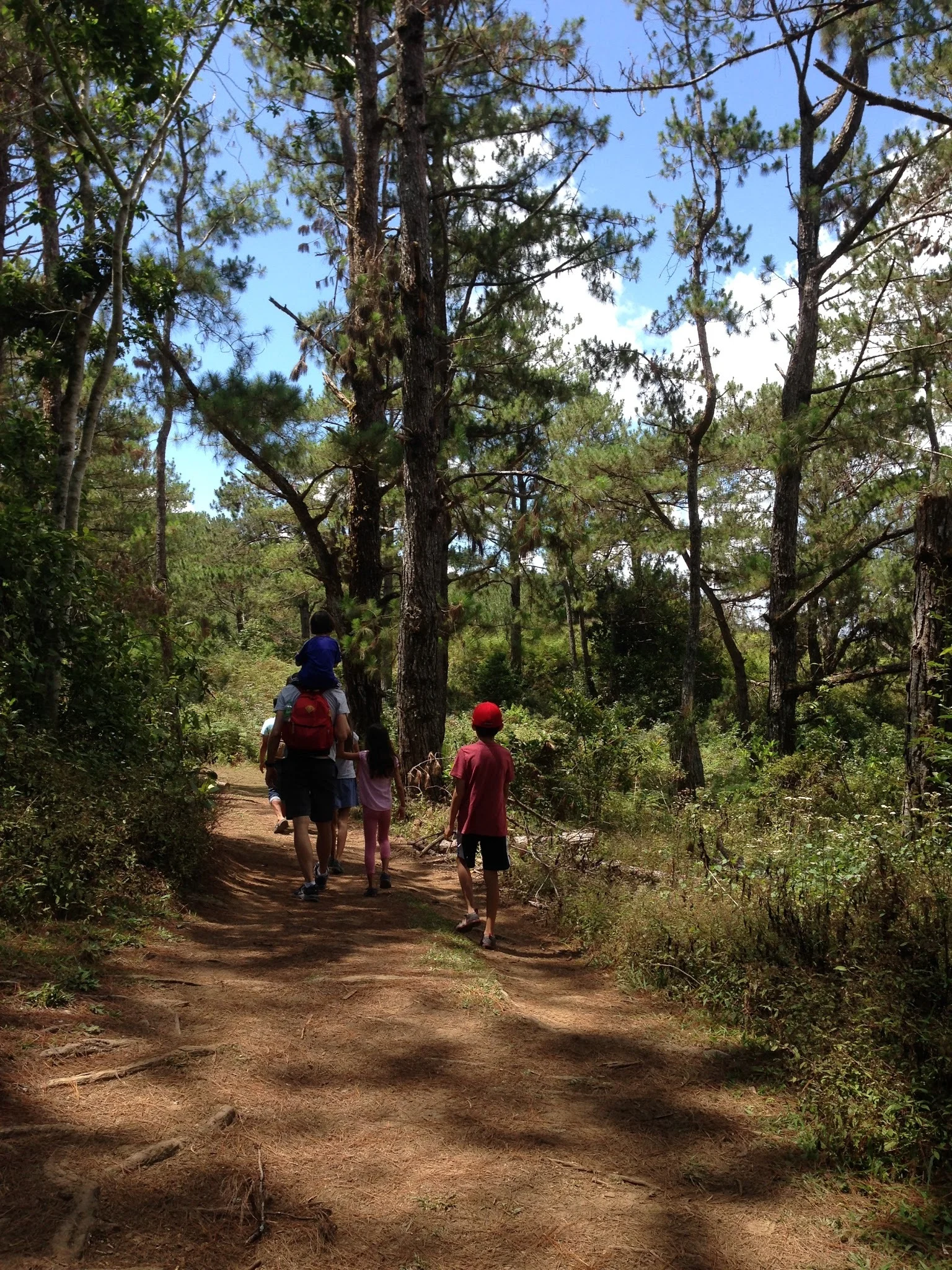 Start of the trail going to Marlboro Country