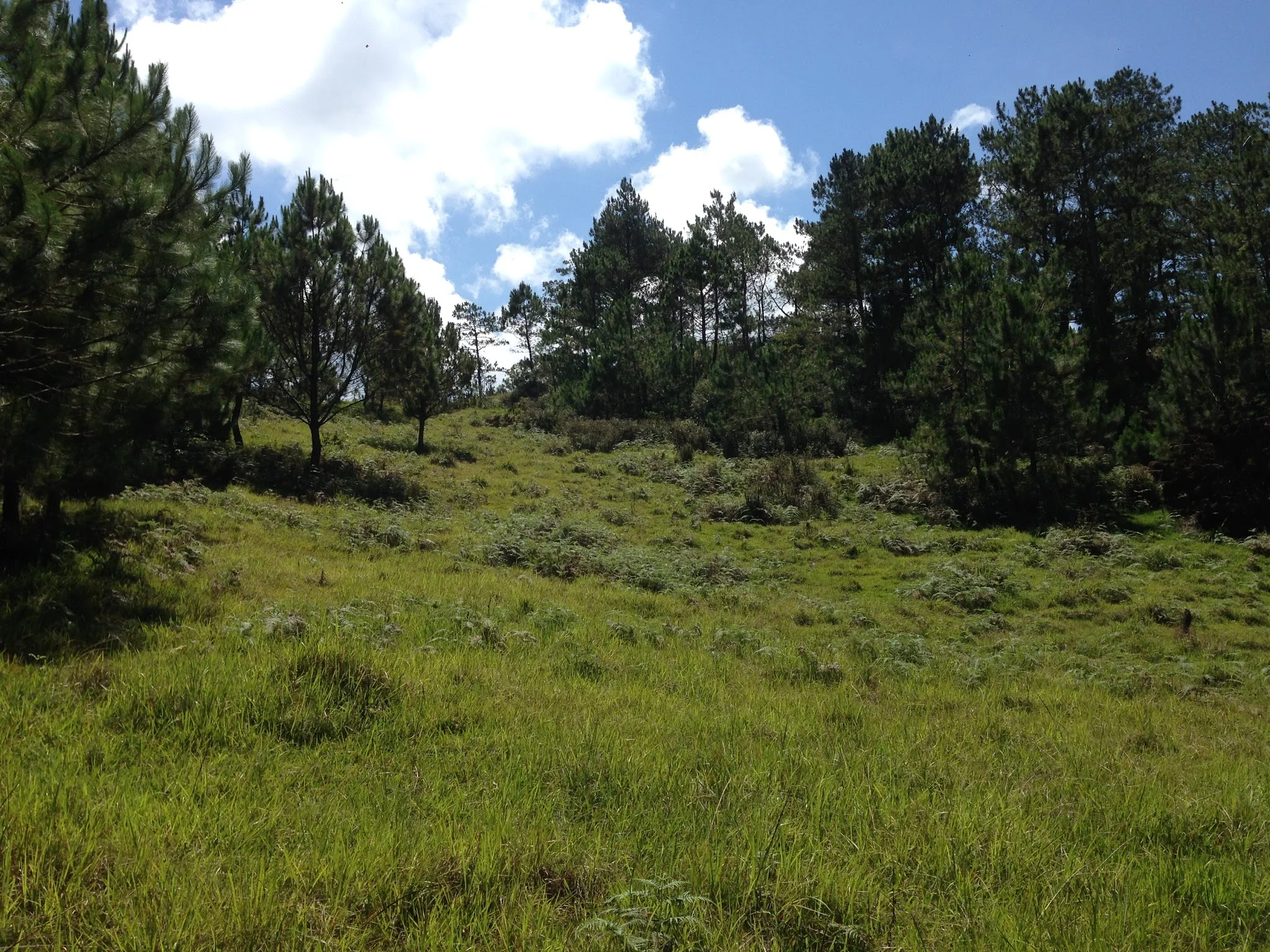 Hiking towards Mount Ampacao