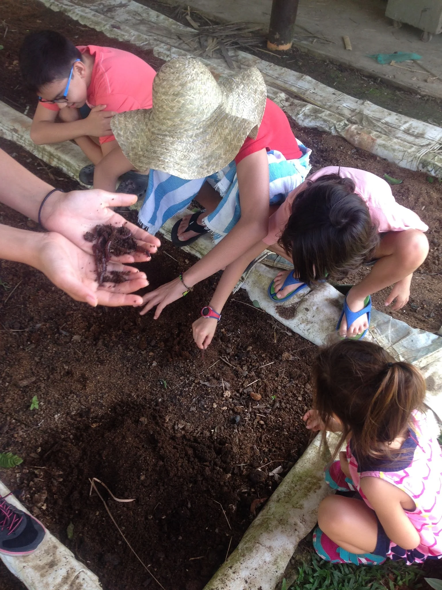 Vermiculture