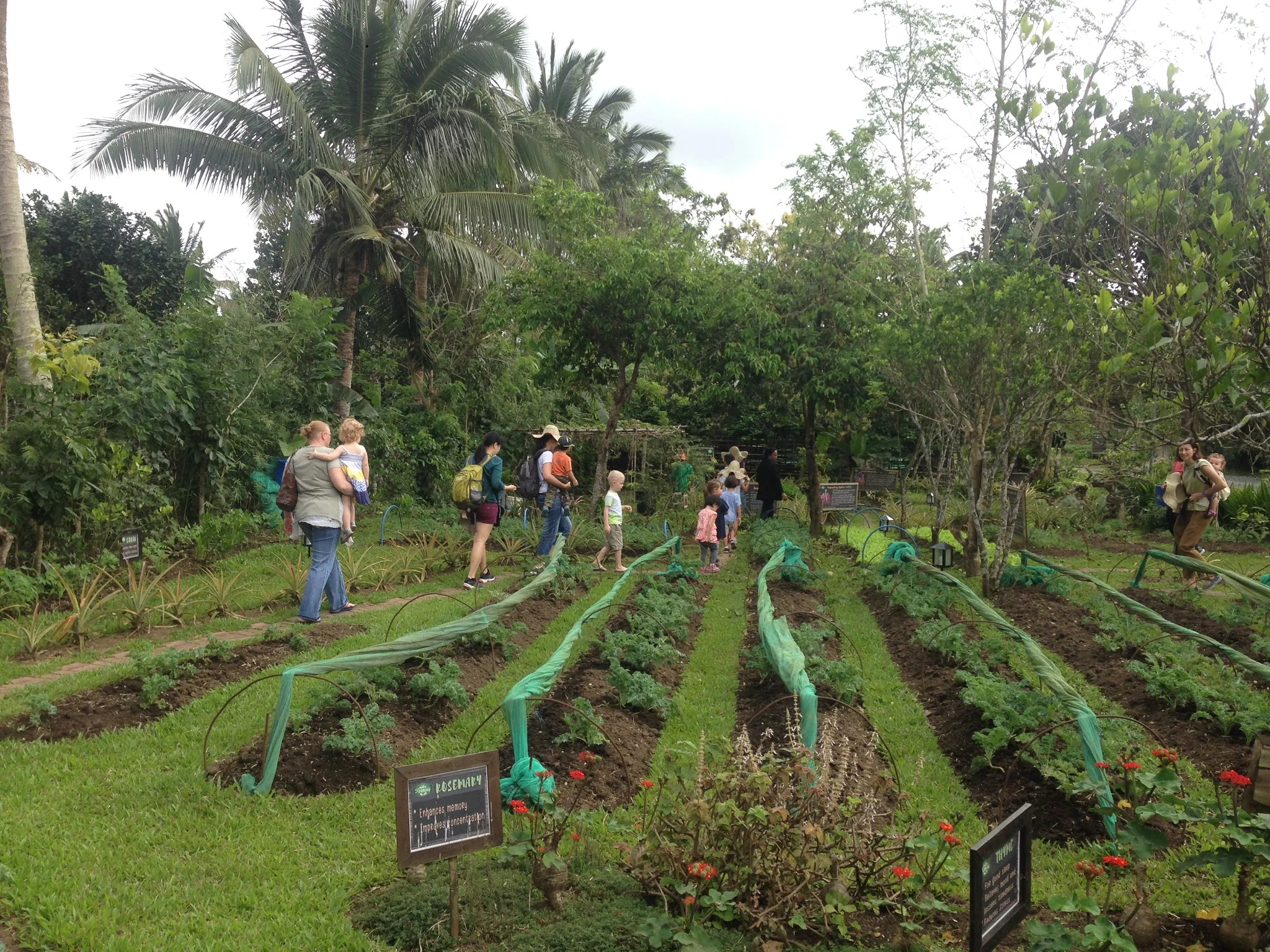 Field trip at Nurture Farmacy