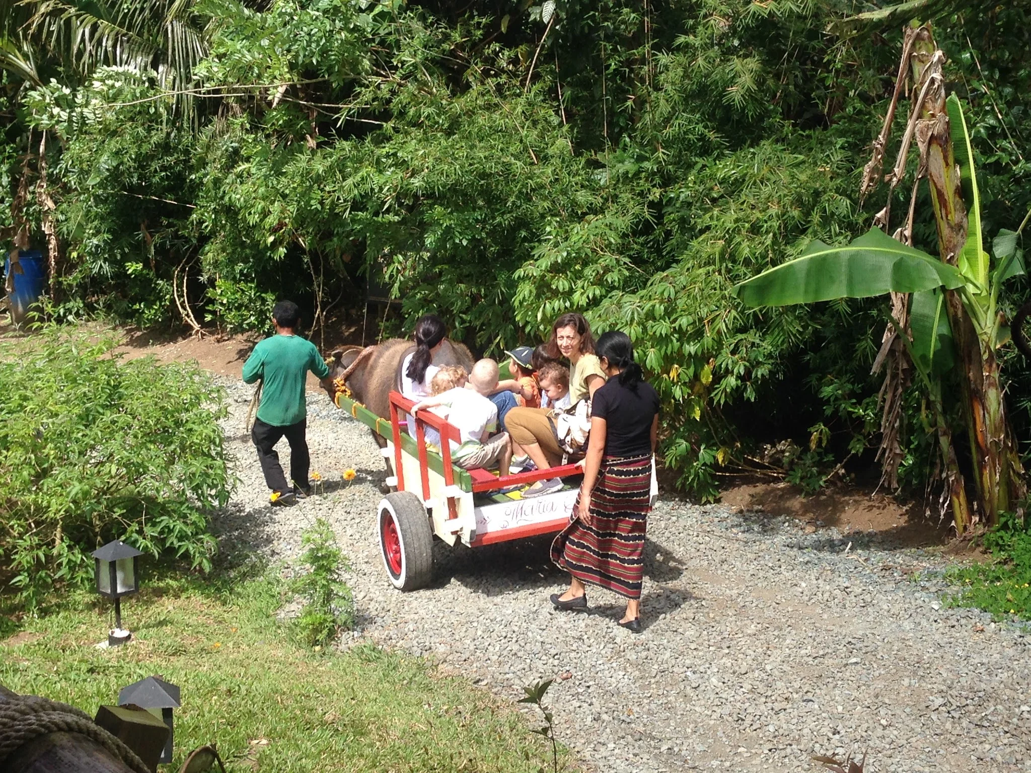 Carabao cart rides