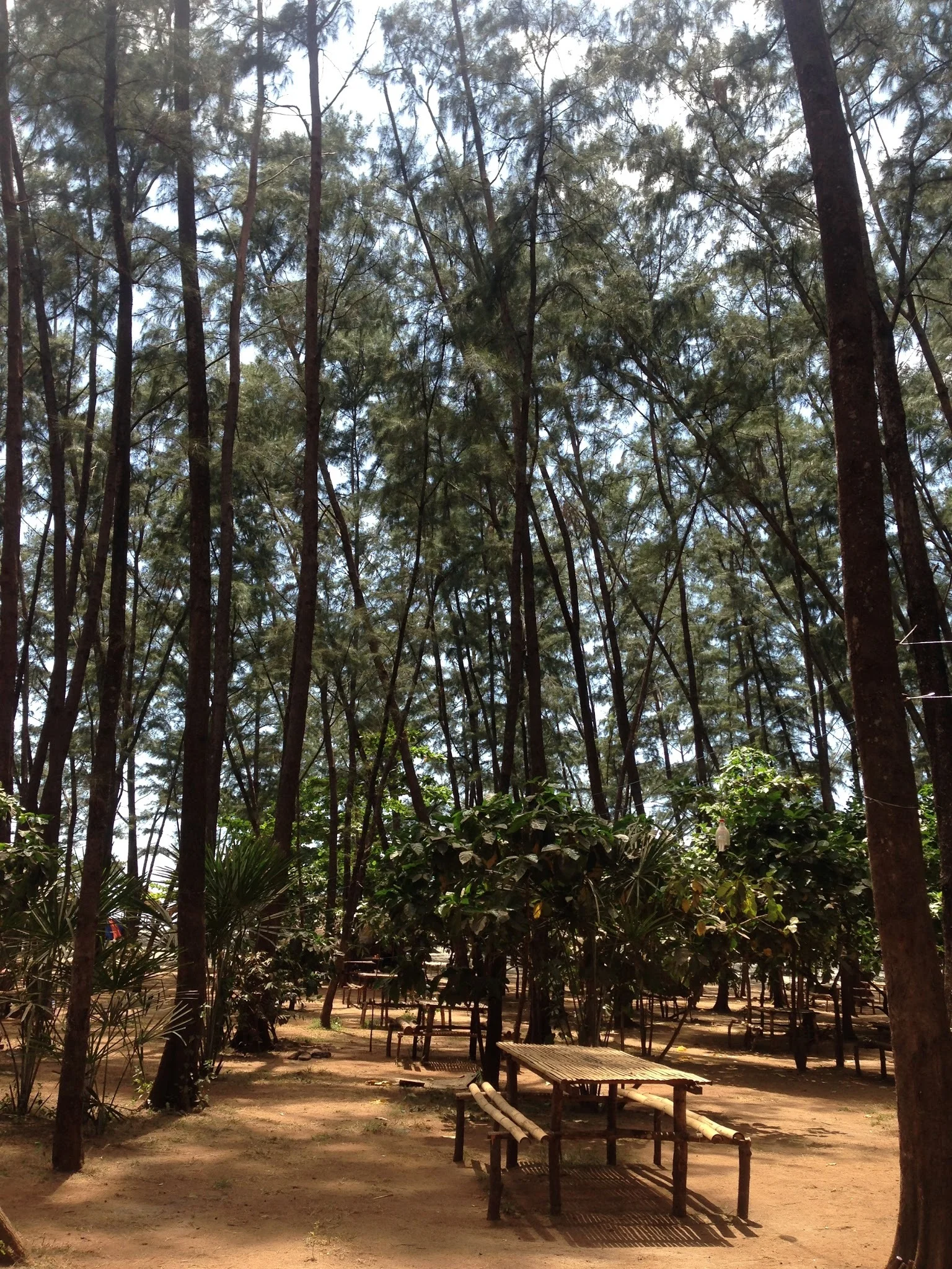 Setting for a picnic at Anawangin cove. Memorable.