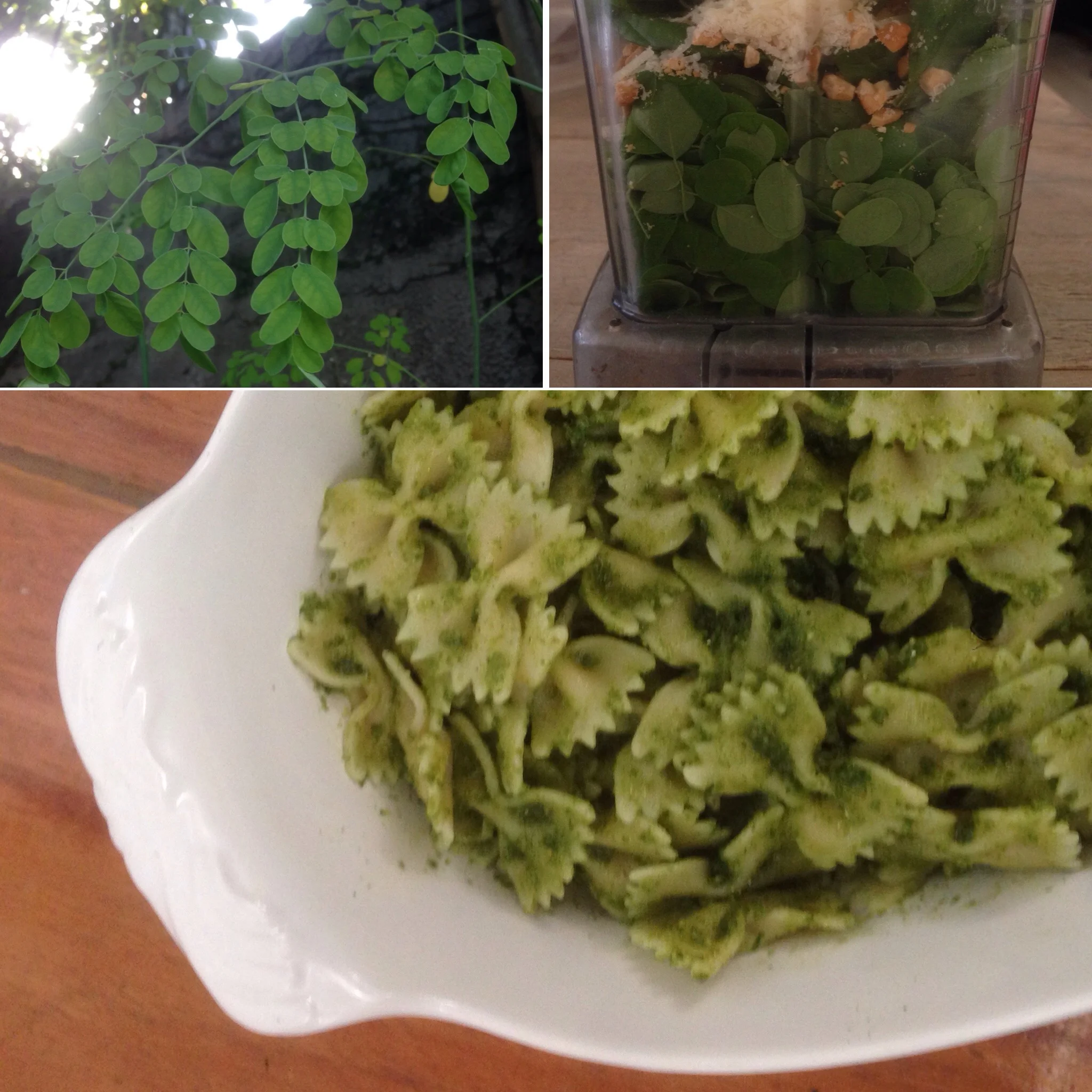From a tree in our yard, to the blender, to the pasta. 