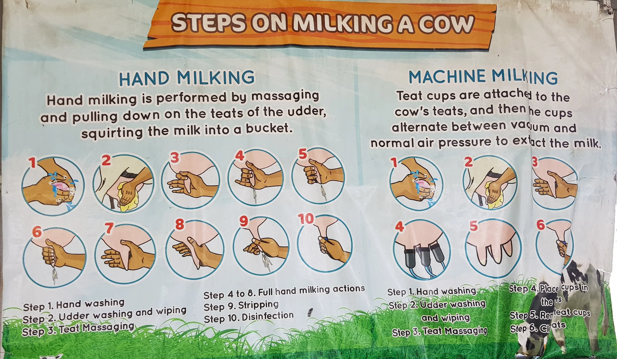 One of the posters in the learning area.