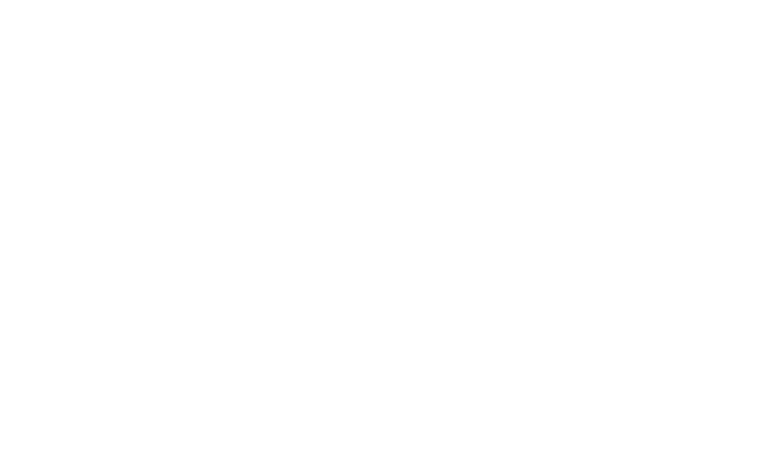 205 CAPITAL