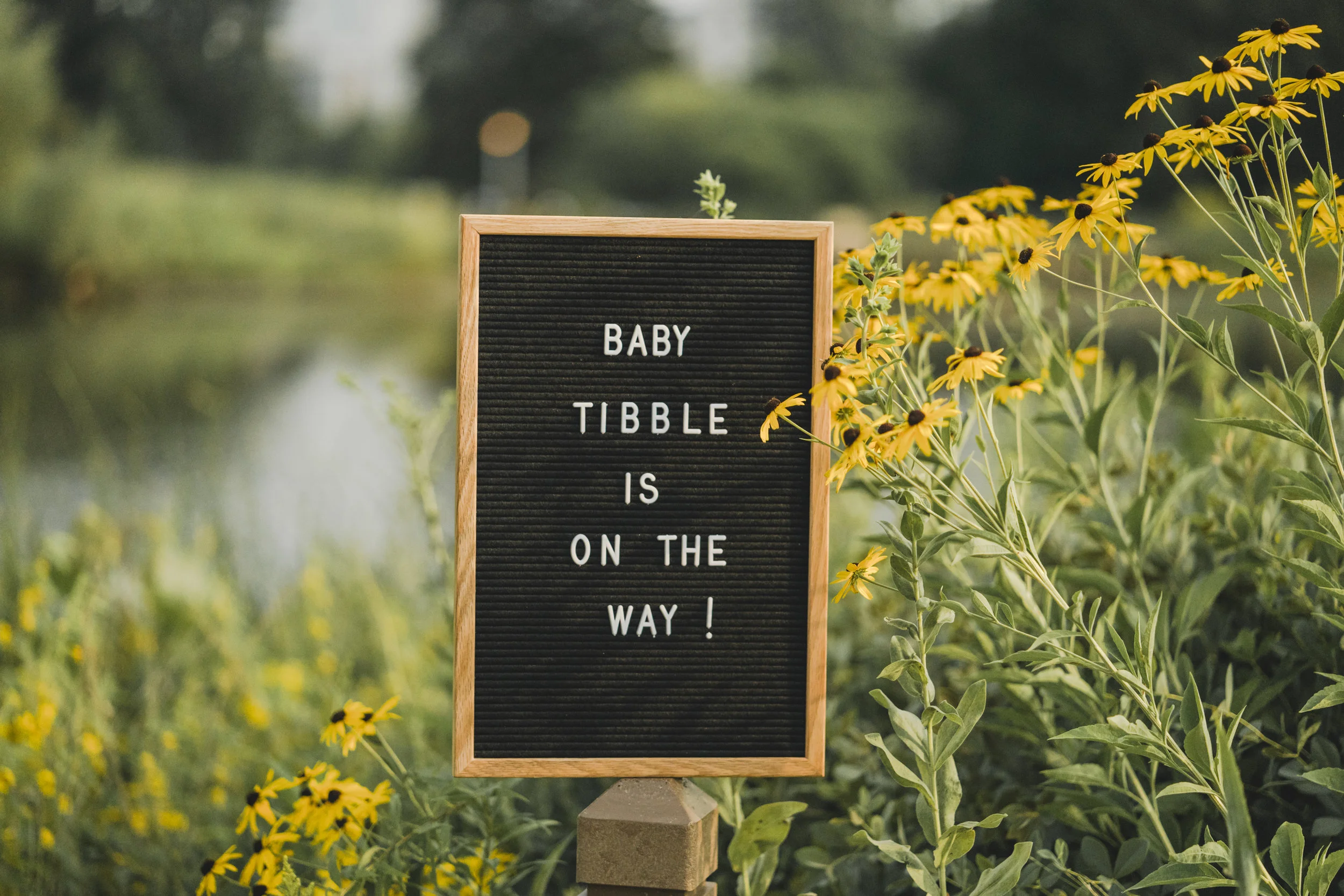 Christina Maternity Shoot - Datflipmel Photo & Films-1.jpg