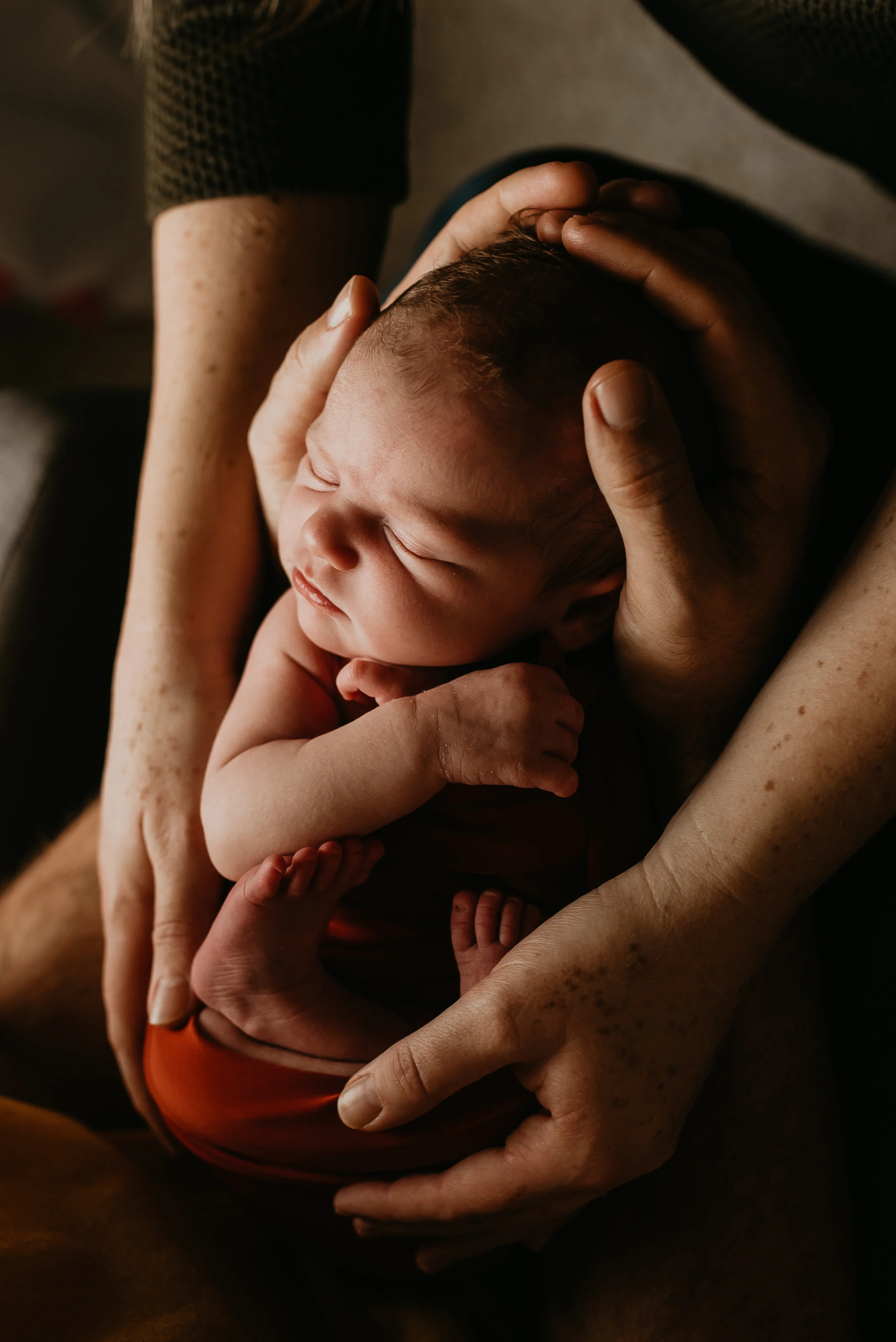 newborn photographers eugene or-55.jpg