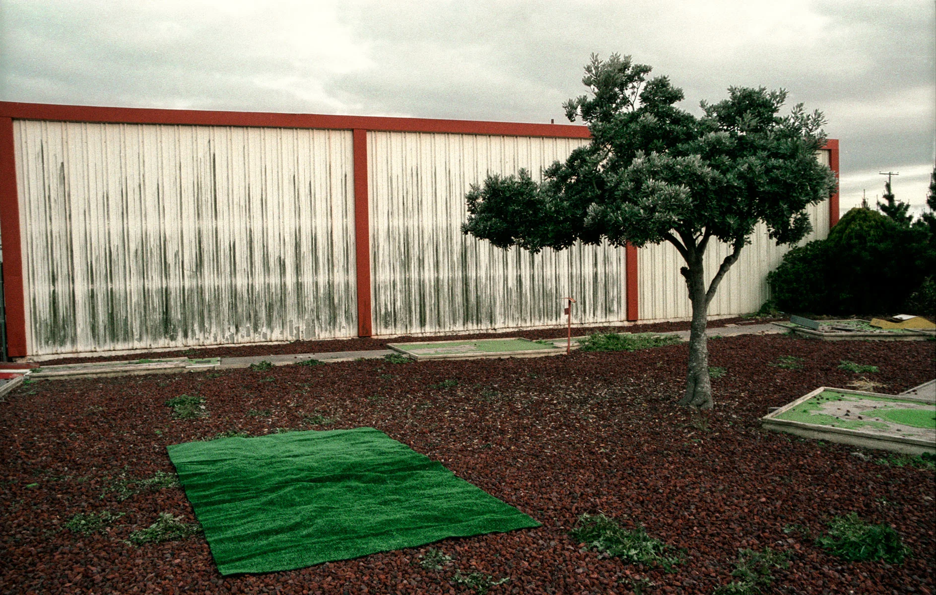 AstroTurfClarity17-1200.jpg