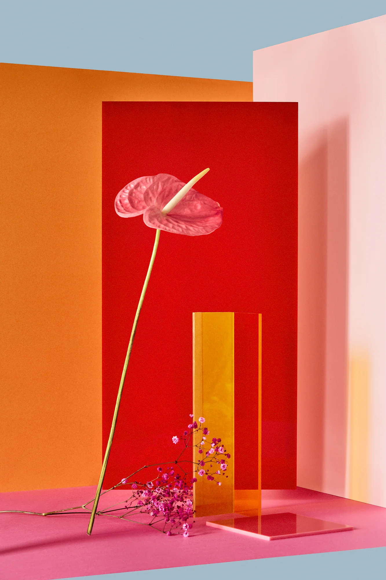 ModernFlower.jpg