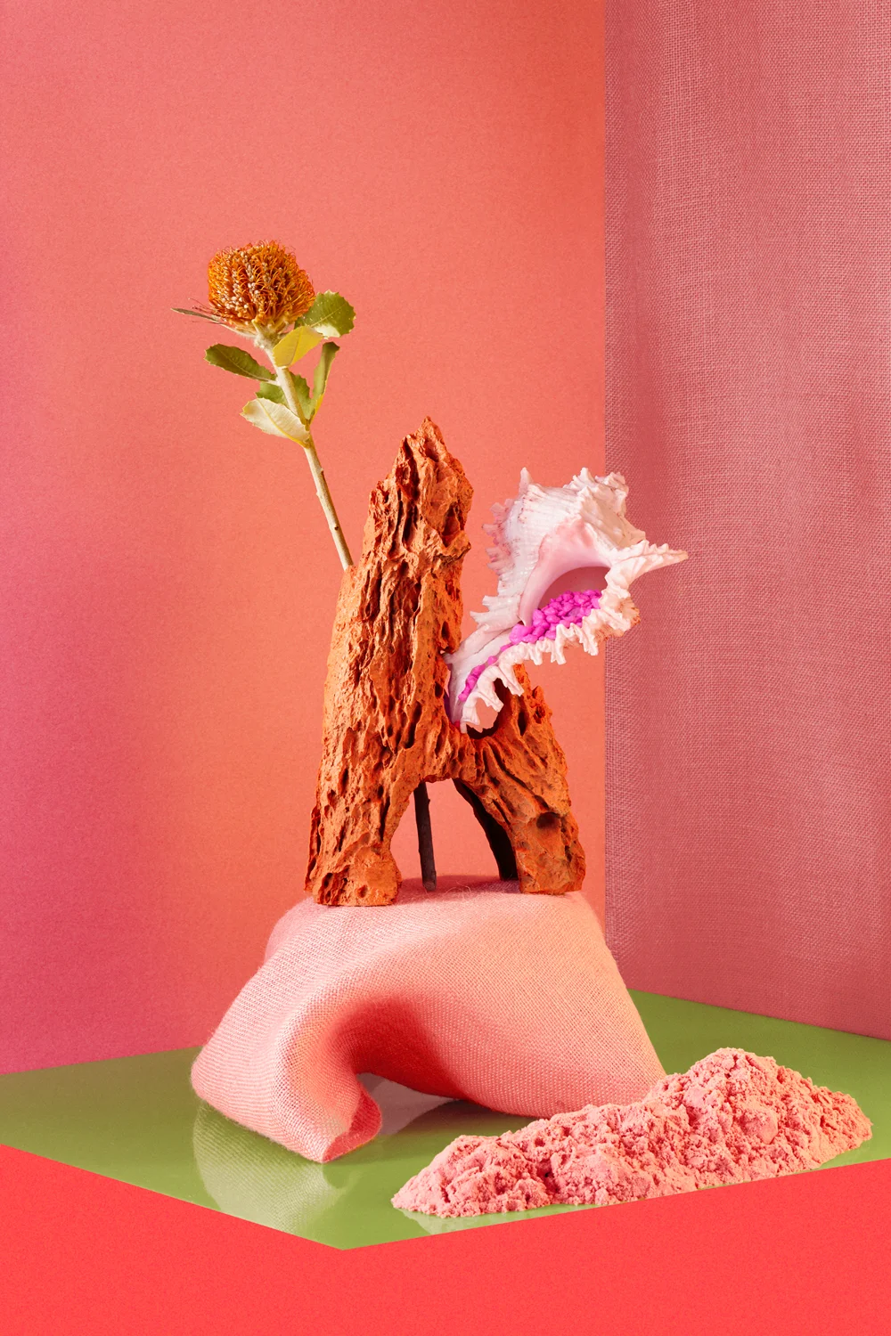 Seashell_PinkRocks_Website.jpg