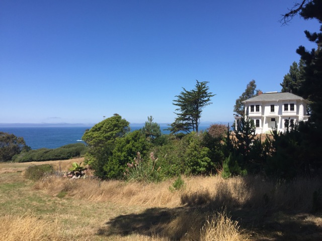 IMG_3947.jpeg