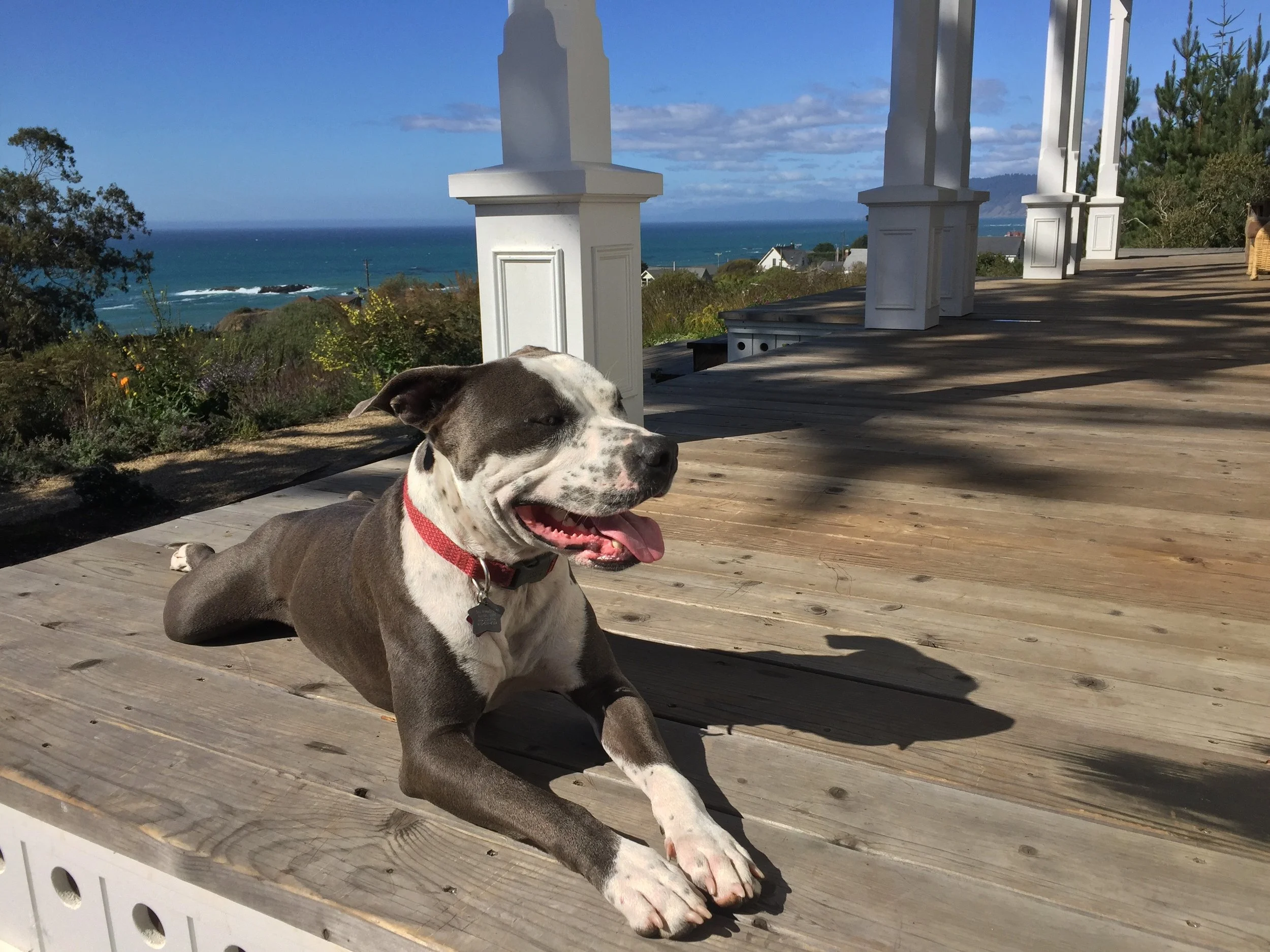 Michiko and Gary's Weekend