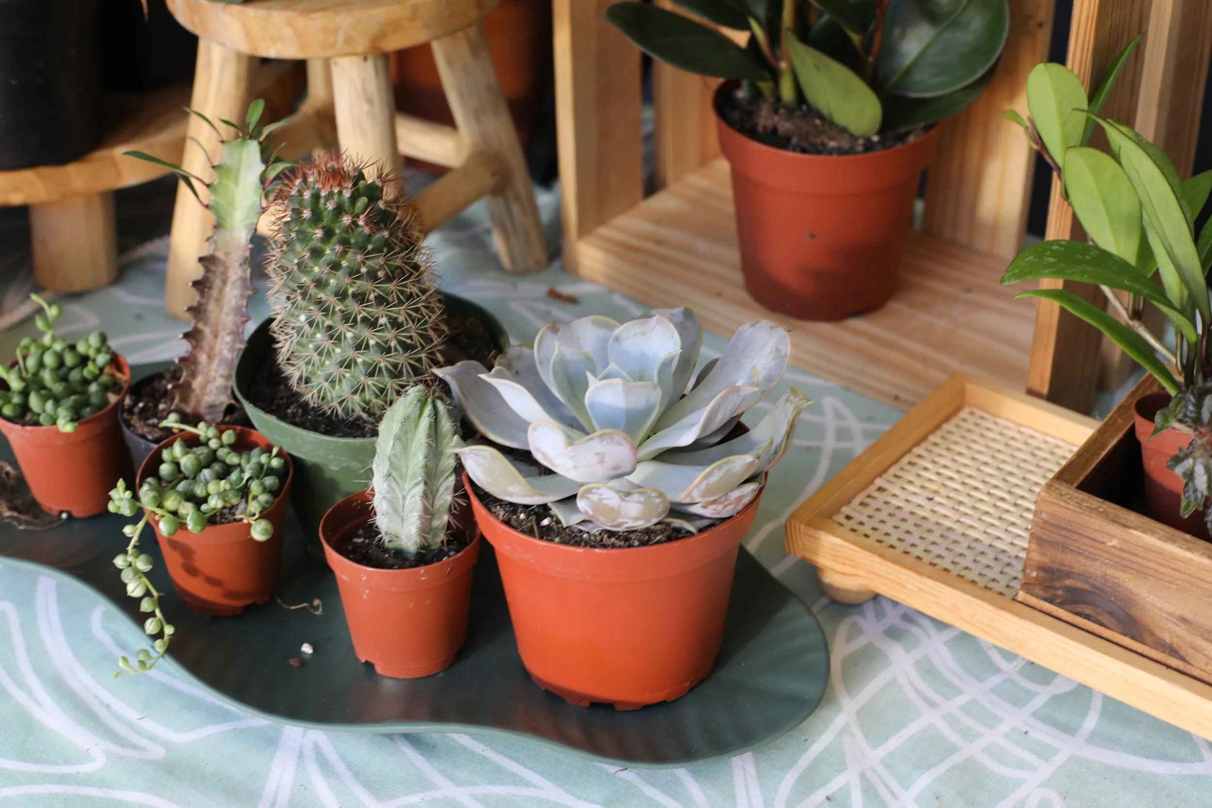 show&tellJUNE (17).jpeg