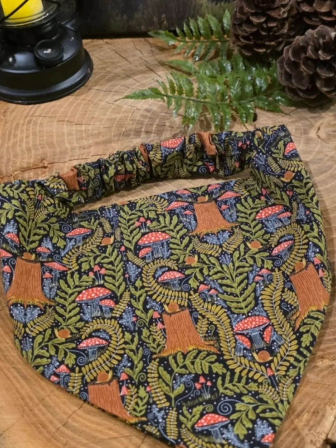 blue ridge bandanas_01.jpg