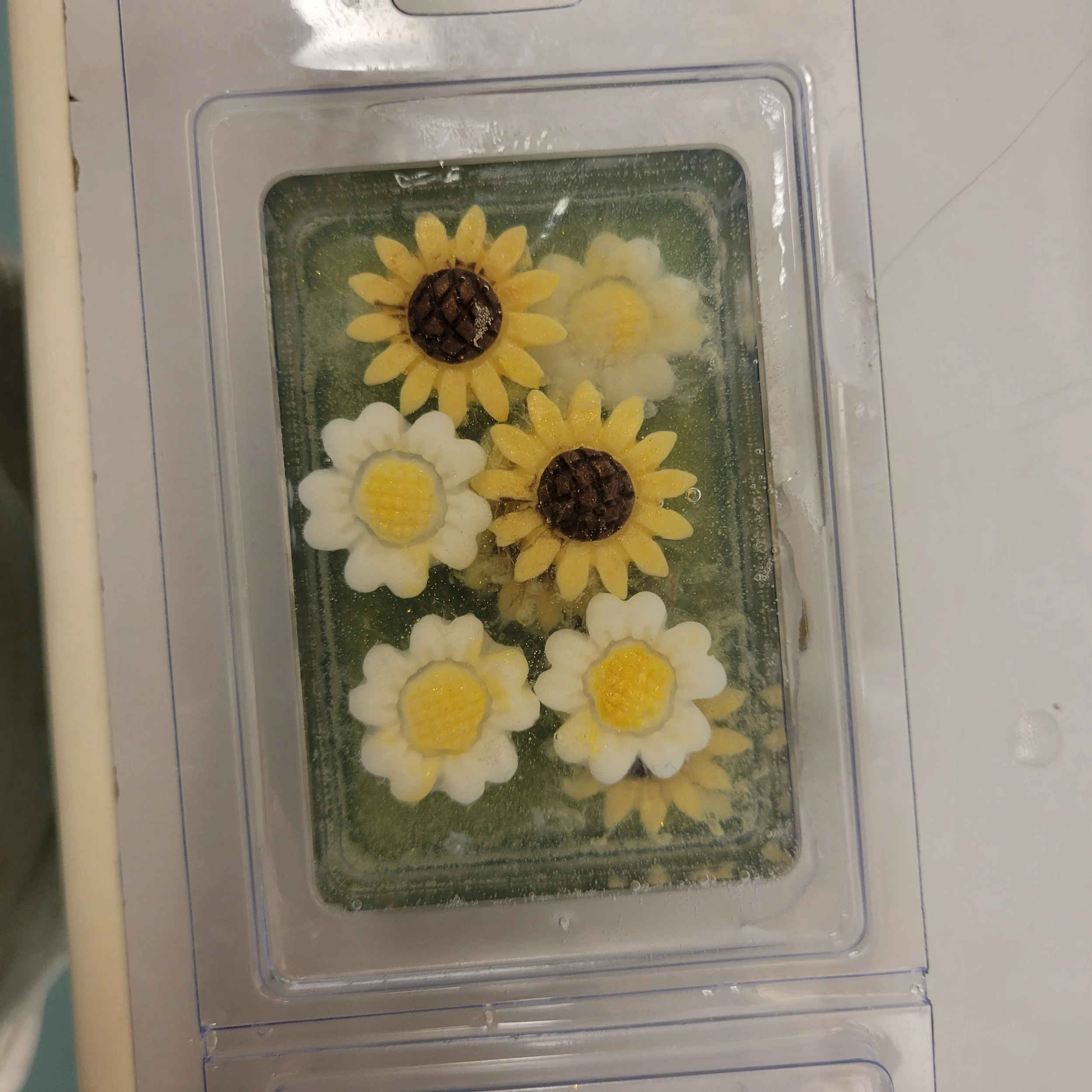 20250725_160308 - Copy.jpg