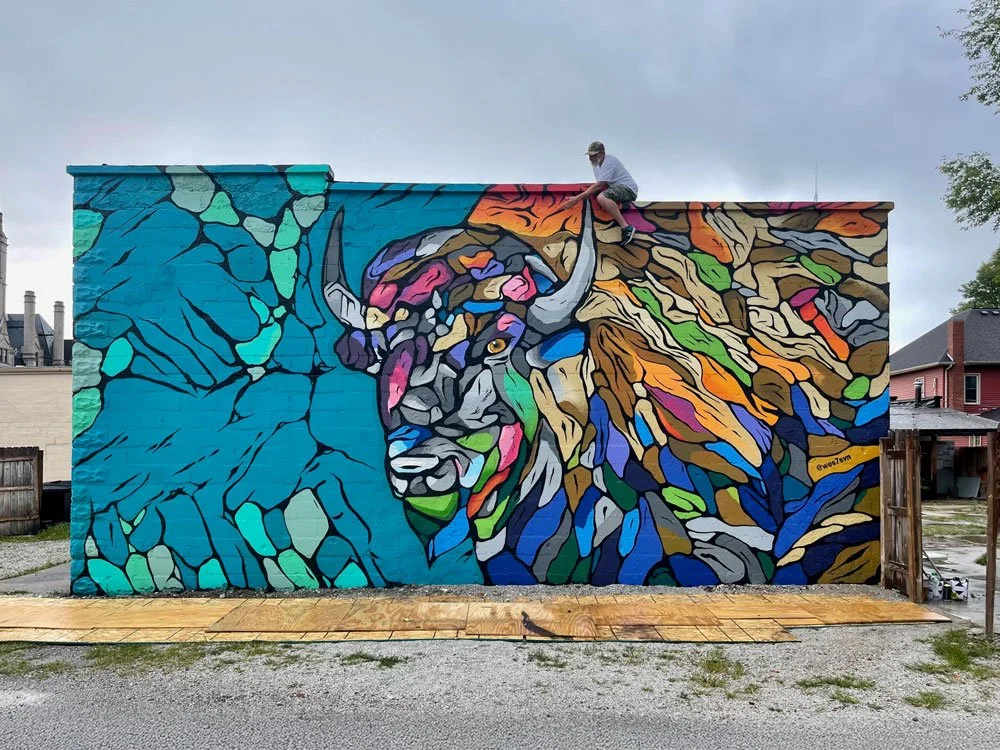 Bison-Aydas-Restaurant-by-wes7svn-Jasper-County-Mural-Rensselaer-Indiana-RENARTWLK.jpg