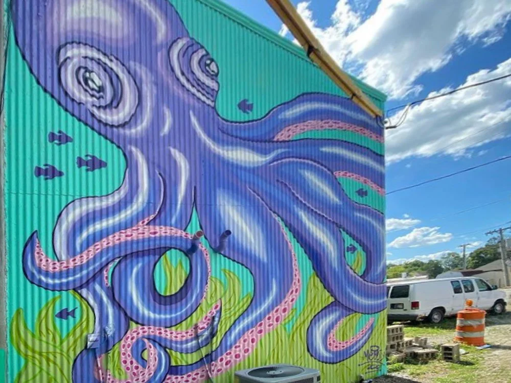 Octopus-by-Moosy-Jasper-County-Mural-Rensselaer-Indiana-RENARTWLK.jpg