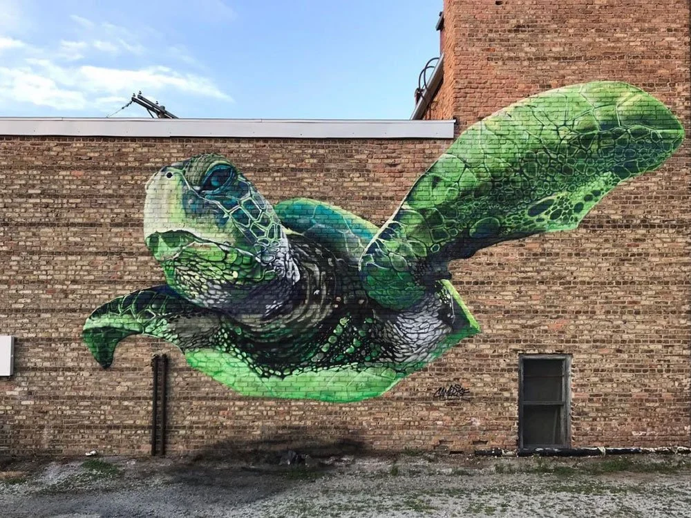 Sea-Turtle-by-Cameron-Moberg-Jasper-County-Mural-Rensselaer-Indiana-RENARTWLK.jpg