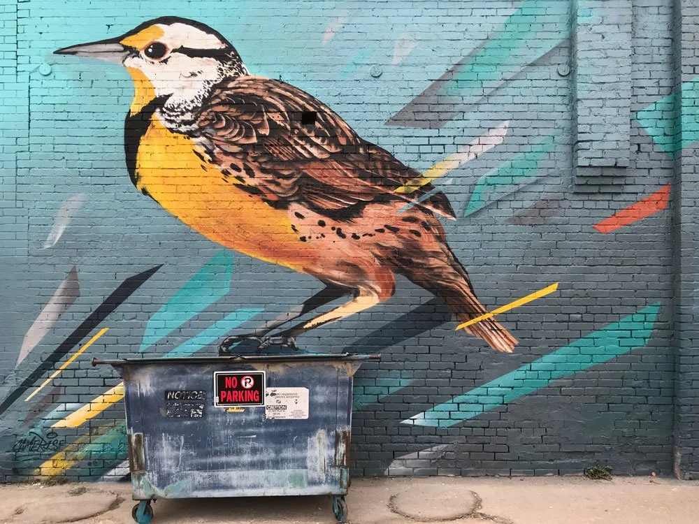 Meadowlark by CAMER1sf Great Falls Montana Great Walls ArtsFest Mural.jpg
