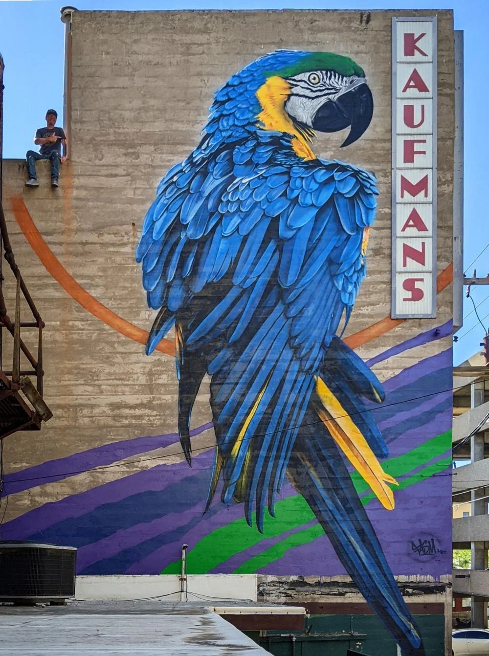 Parrot mural by Fasm Great Falls Montana Great Walls ArtsFest.jpg